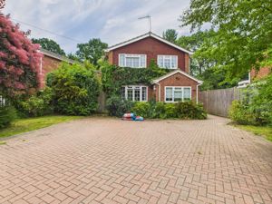 Front- click for photo gallery